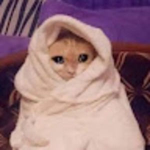 Meet your Posher, Miranda